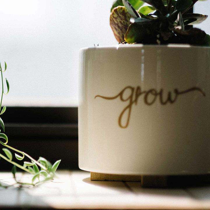 andrew-seaman-621698-unsplashsquare